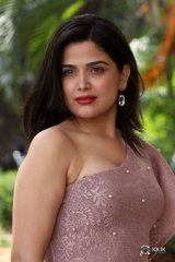 Ayesha Singh at Yedu Chepala Katha Movie Prees Meet